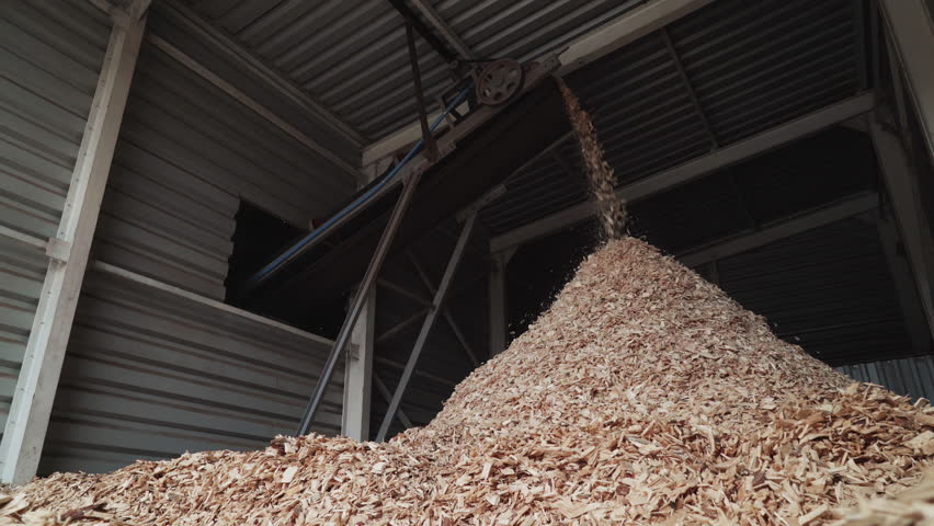 Lots of Wood scrap pieces are pouring down on the ground. Loads of wood scrap shreds are collected in a pile. High amounts of Wood scrap waste are accumulated in the room at the industrial factory. Royalty-Free Stock Footage #1099851711