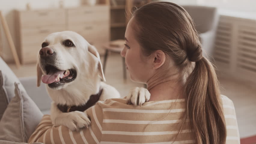Back view of young Caucasian woman embracing her beloved white labrador retriever while staying at home together Royalty-Free Stock Footage #1099852789