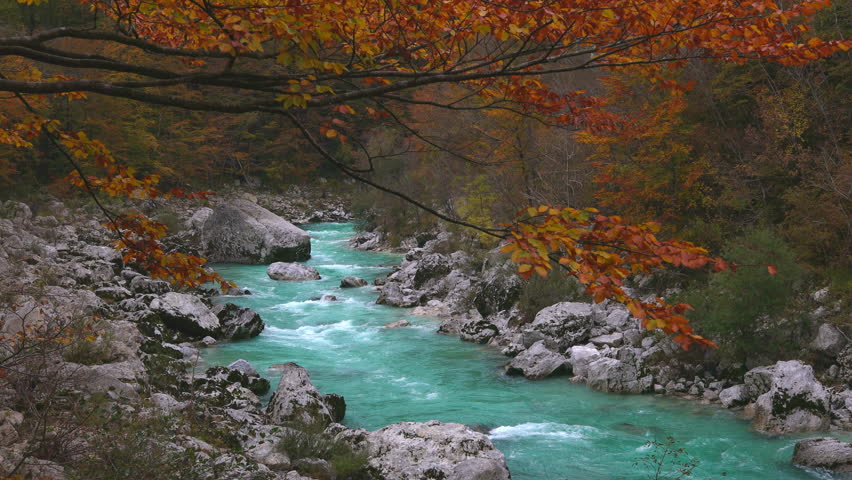 Autumn Colours of leafs over Alpine Emerald Green River Soca in Julian Alps Slovenia Royalty-Free Stock Footage #1099860091