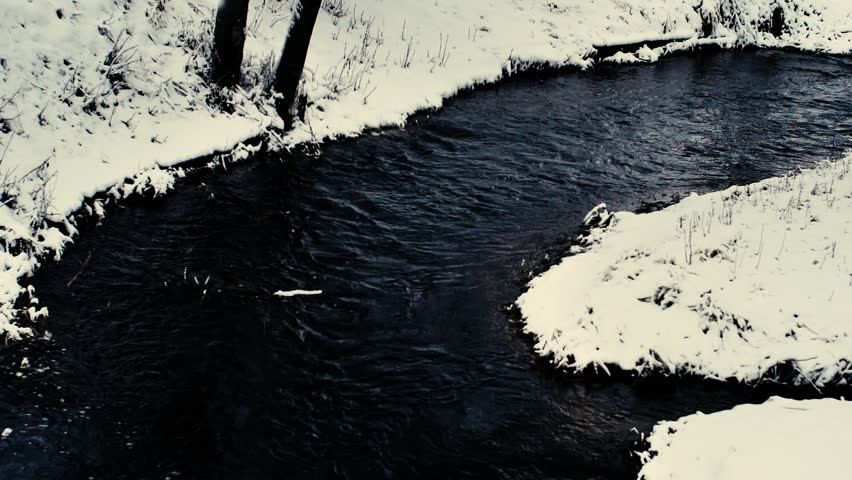 White snow has fallen on the tree branches, snow is blowing from the air. River during winter. Video motion. Soft selective focus.