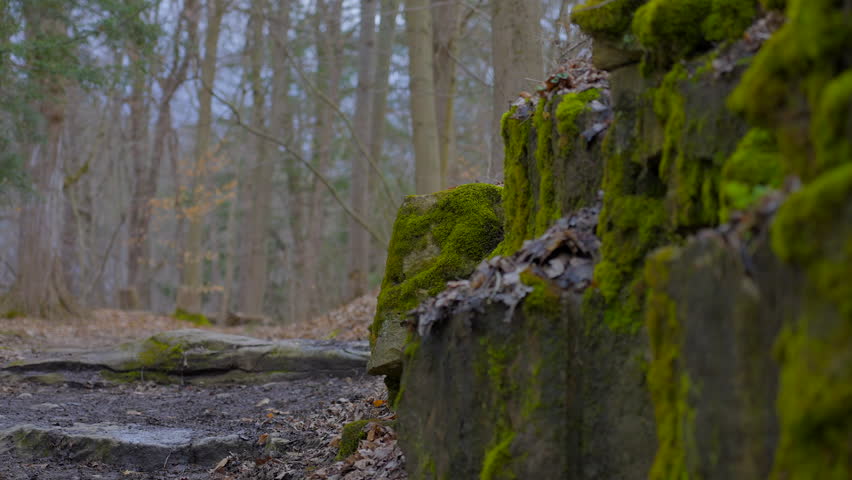 Establishing shot of trail in park in slow motion at summer day in Vancouver, Canada, North America. Day time on September 2022. Still camera.