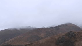Wide angle  4K video 60 fps beauty of the Pyrenees in winter with a majestic 4K 60 fps of a foggy mountain landscape. There is an isolated tree in the background and fog in the scene