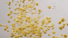 Many ripe corn grains Falling into Water in Slow Motion. Ripe corn grains filmed in a photo studio on white background with video lighting. - Powered by Shutterstock - Get 15% off with code: PIKWIZARD15