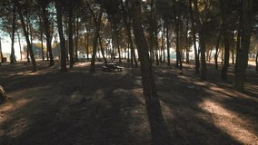 videos in 4k at 50 fps through the countryside in malaga spain