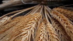 Macro view of grain drying. Oats, flax, wheat and rye on a black background move slowly. Perfect background. - Powered by Shutterstock - Get 15% off with code: PIKWIZARD15