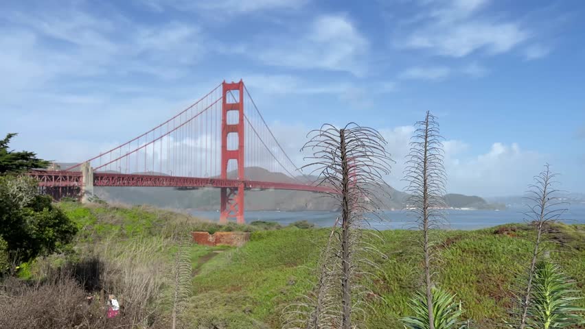 Panoramic view of the Golden Gate seen from a viewpoint with vegetation overlooking the bay of San Francisco seen from the viewpoint on the waterfront, this is the symbol of this Californian city.