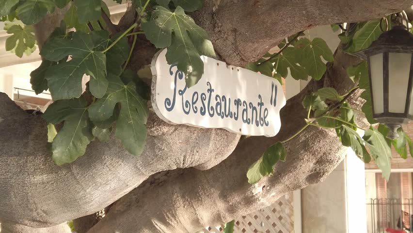 restaurant sign hanging on a fig tree
