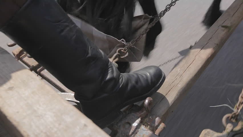 Farmer rides a horse-wagon somewhere in Transylvania