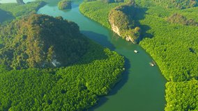 Aerial view over green mangrove forest in tropical rainforest, limestone mountain and beautiful curvy river. Krabi, Thailand. Travel and Nature concept. Nature environment. green background video. 4K
