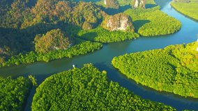 Green mangrove forest in tropical rainforest, limestone mountain and beautiful curvy river. Krabi, Thailand. ecological and nature concept. Perfect Nature stock footage. nature background video. 4K
