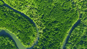 Amazing scenery over the green mangroves surrounding the meandering river. Krabi, Thailand. refreshing breezes. Travel tropical concept. nature background. Aerial view. stock video footage. 4K Drone
