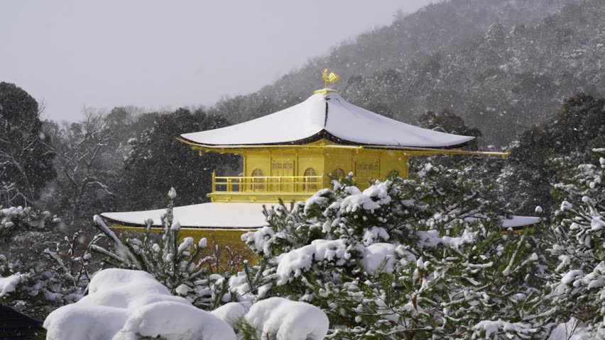 Snowy Kinkaku-ji Temple in winter. Famous tourist attraction in Kyoto, Japan. The Golden Pavilion, Kinkakuji, rokuon-ji, rokuon-ji. Snow landscape.