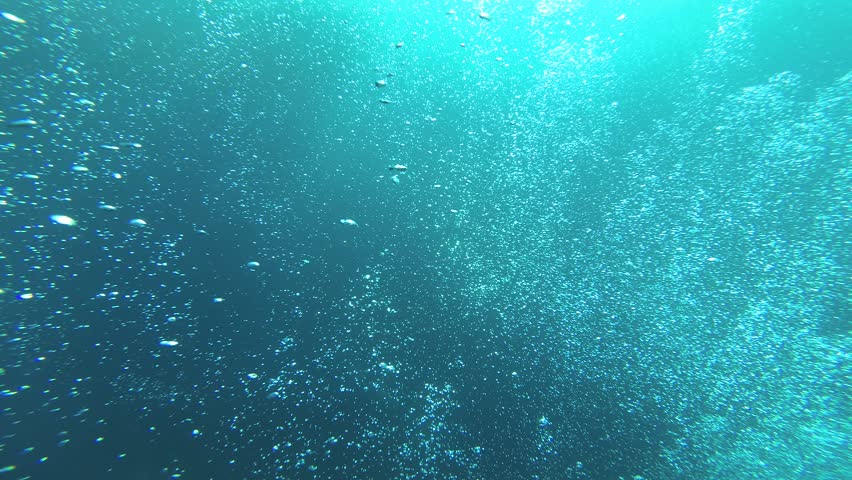 The beauty of the underwater world | Shutterstock HD Video #1099891875