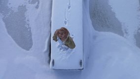 Aerial of women looking up towards camera on a dock on a winter snowy day