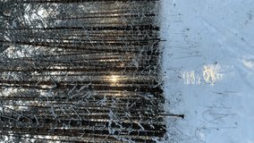 Sunlight through the trees in the forest. Snow trees and a cross-country ski trail. Beautiful and unusual roads and forest trails. Beautiful winter landscape. The trees stand in a row - Powered by Shutterstock - Get 15% off with code: PIKWIZARD15