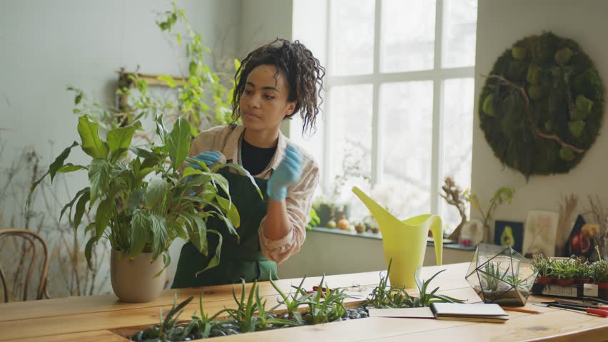 Woman gardener taking care about plant in flowerpot during working day in floral studio Royalty-Free Stock Footage #1099899827