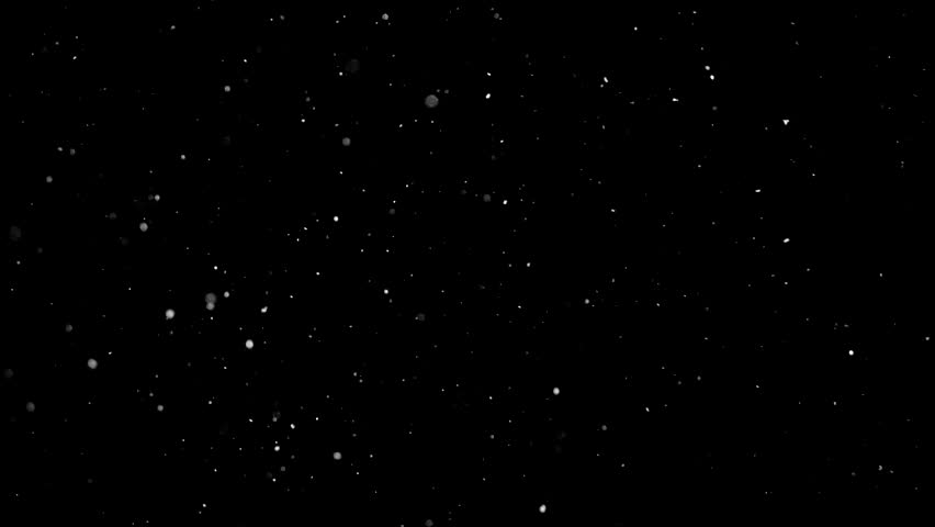The snow slowly flies at night. White dust and glitter on a black background. | Shutterstock HD Video #1099902635