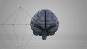 AI Technology Brain Transform Loop. 3D rendering. This work is AI brain transformation and plexus connection technology on a seamless loop background. - Powered by Shutterstock - Get 15% off with code: PIKWIZARD15