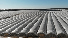 Aerial video of multiple farmers greenhouses covered by white plastic film and plowed field with a hill in a background from top down perspective.