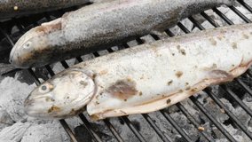 Trout fish on barbecue slow grilling close-up 4K 2160p UltraHD tilt footage - Fresh trout fish bbq smoke grilled 4K 3840X2160 UHD video