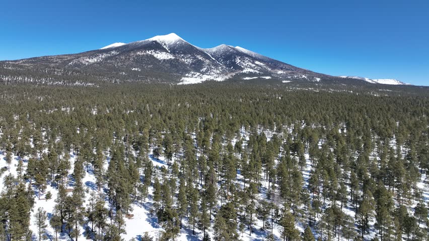 aerial view flying over Coconino forest towards San Franscio peaks.