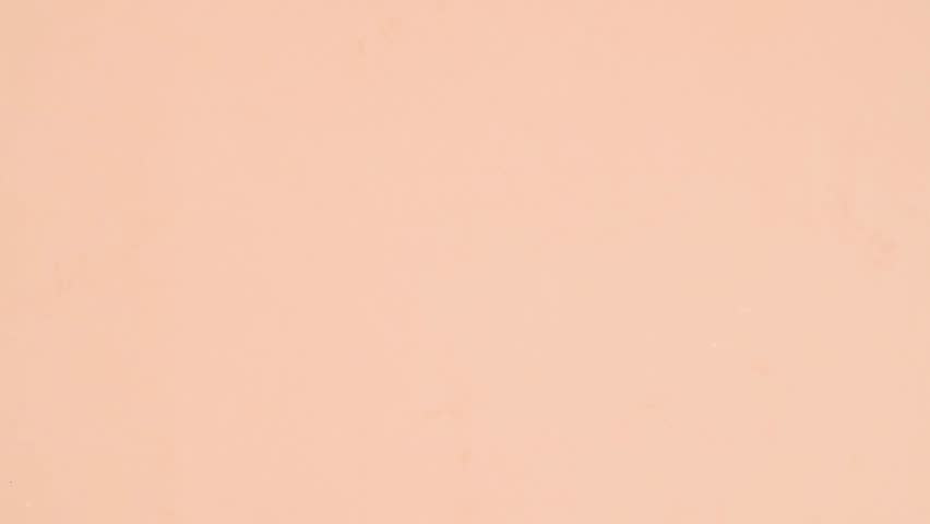 animated flat lay of sandwich biscuits and various breakfast dishes