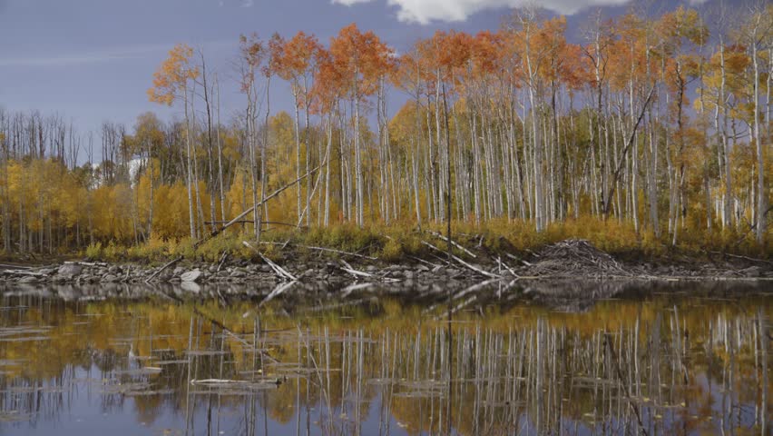Reflection of trees in lake during autumn, fish lake, utah, united states