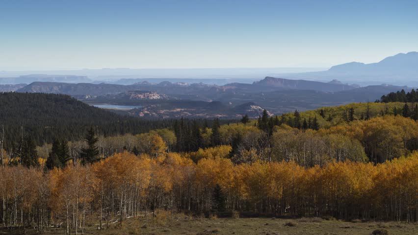 Aerial flyover view of quaking aspen trees and mountain landscape, boulder, utah, united states