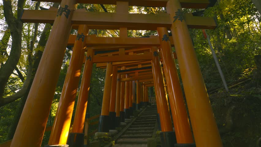 Dramatic view of walking in red gates "Torii", Fushimi Inari Shinto shrine in Kyoto in Japan, Travel or trip, Slow motion, Chinese character in this video means "dedication". Royalty-Free Stock Footage #1099941239