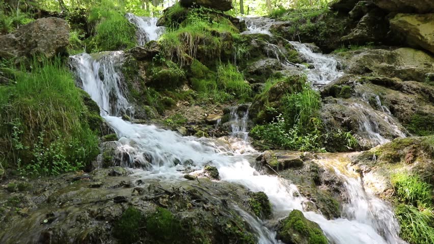 Waterfall on a forest river. Fallen trees in the water and over the waterfall. Kazu grava, Latvia. | Shutterstock HD Video #1099947527