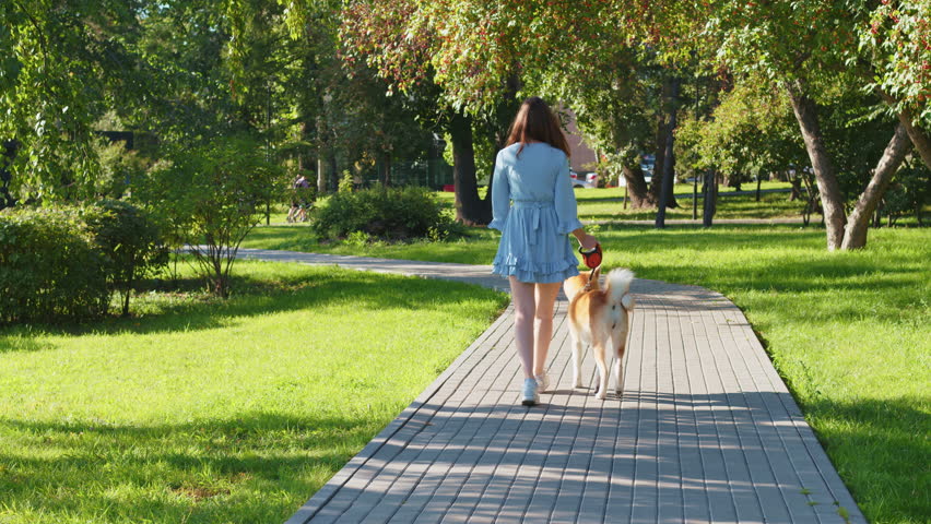 Beautiful girl in dress walks dog on leash in urban park. Back view. Young woman going with Akita Inu along paved path surrounded by grass, trees. Caucasian lady with pet spend time on city street Royalty-Free Stock Footage #1099948175