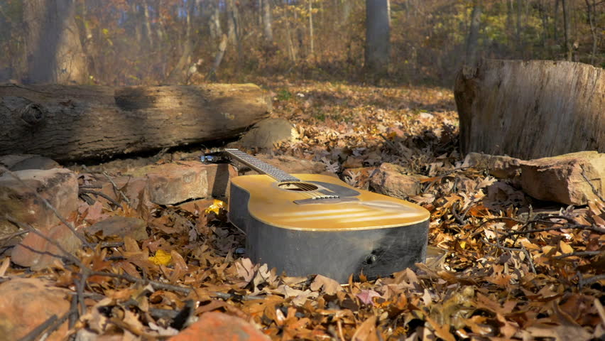 Lockdown Shot Of Guitar On Dry Leaves In Tranquil Forest - Madison, Wisconsin