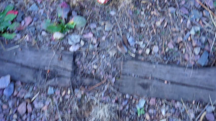 Point Of View Of Woman With Floral Shoes Walking On Land - Madison, Wisconsin