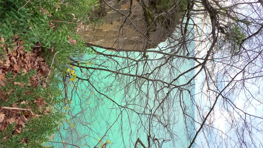 Panoramic view of the Black Sea coast from the mountain through the branches of trees. View of the blue water and the rocky seashore from the Kiselyov cliff. 4K