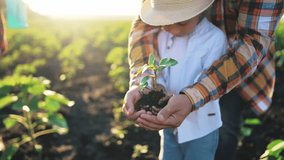 Family of farmers:hands child and parent holding young green sprout of sapling in ground. Mom waters plant on watering can on outdoor field. Agriculture, gardening, ecology, cultivation concept. - Powered by Shutterstock - Get 15% off with code: PIKWIZARD15