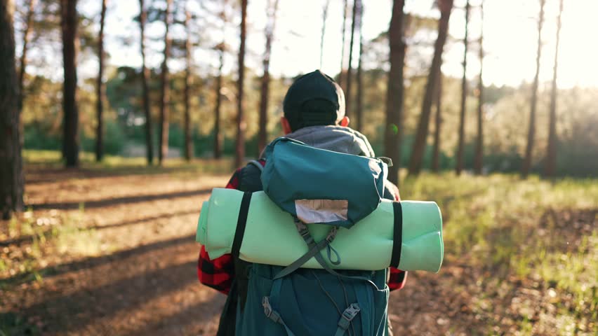 Male with tourist equipment in backpack walking on forest in trip. Mat for yoga and meditation in nature during a hike. Healthy and sporty lifestyle in free time on weekends. Walk in leisure activity Royalty-Free Stock Footage #1099962901