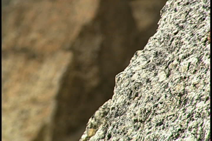 Rock Climbing