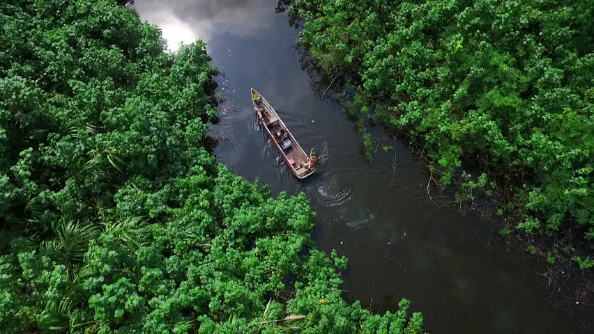 Amazon river crossed by boat with natives coming out of the thick Colombian, Peruvian and Brazilian Amazon jungle | Shutterstock HD Video #1099969927