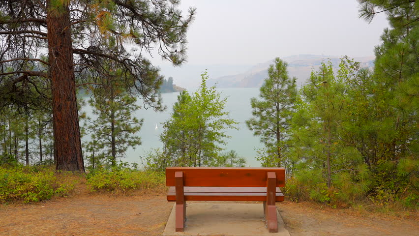 Establishing shot of park or picnic bench on the lake with white clouds in Vancouver, Canada, North America. Day time on July 2022. Still camera view. ProRes 422 HQ.