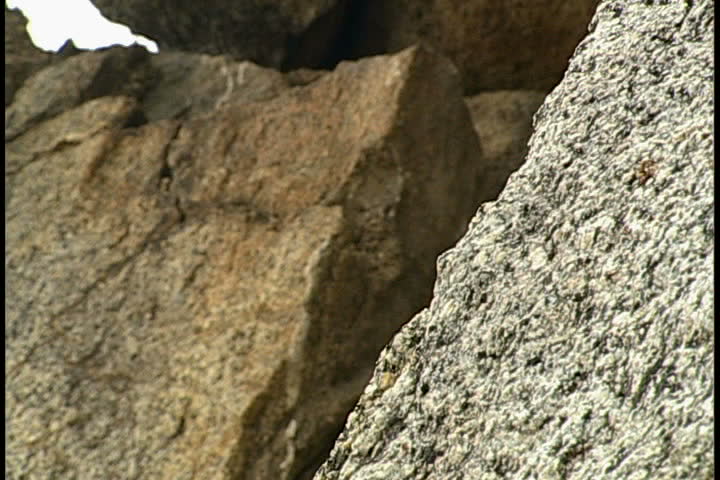 Rock Climbing