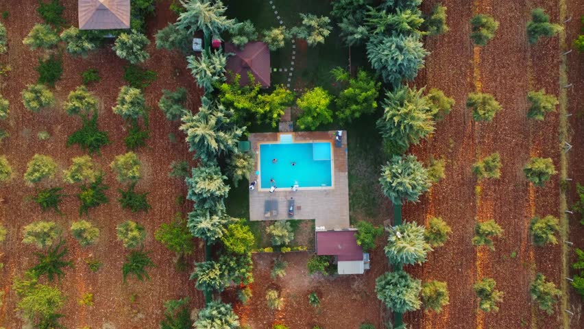 Blue swimming pool. The pool with people swimming in it, taken from the hill. people swimming in the pool | Shutterstock HD Video #1099979325