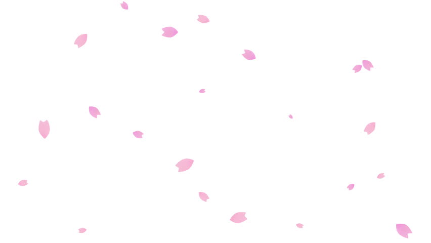 Loop animation of cherry blossoms falling diagonally on white background Royalty-Free Stock Footage #1099979827