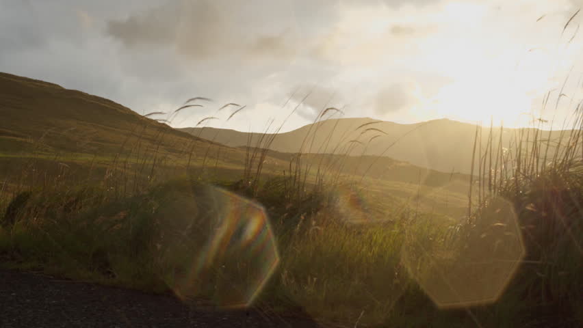 Grass blowing in the wind while it rains with the sun shining in the background