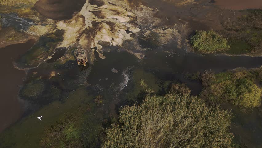 A contaminated wetland and industrial waste poured into a lake making the water muddy and dirty