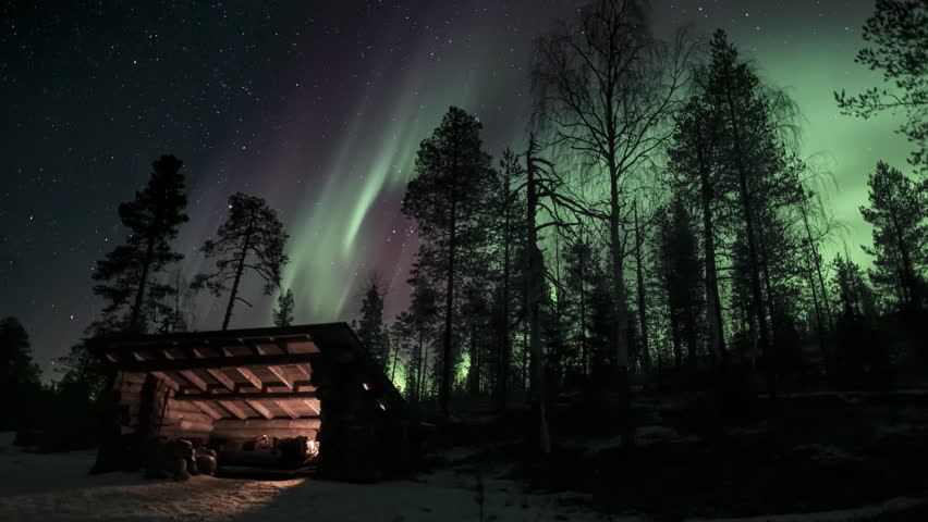 A low-angle view of a beautiful forest on a starry day in Kolari, Finland