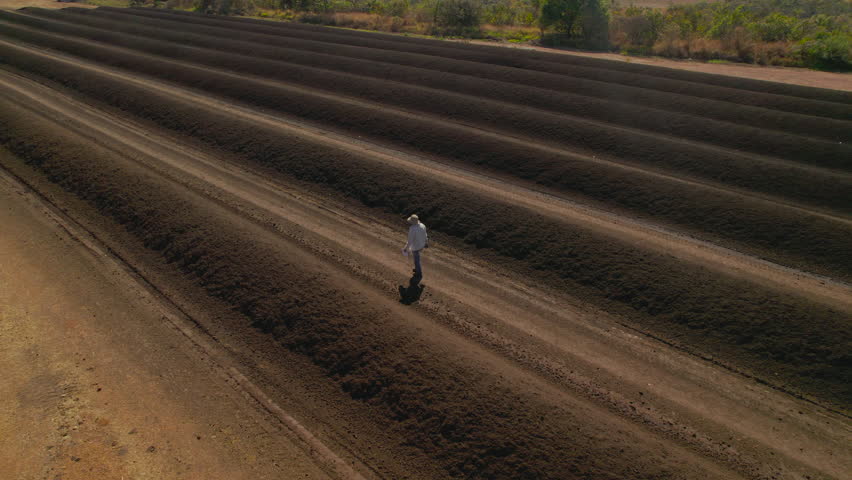 Preparation of fertilizer for soil fertilization for platy	
