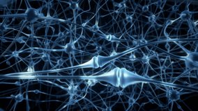 zoom inside the brain, concept of neurons and the nervous system - Powered by Shutterstock - Get 15% off with code: PIKWIZARD15