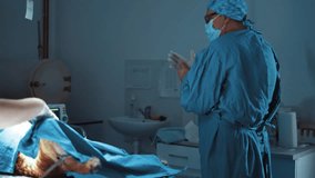 Animal surgeon putting gloves preparing for surgery. Veterinarians preparing for surgery - Powered by Shutterstock - Get 15% off with code: PIKWIZARD15