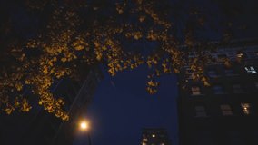 Animation of financial data processing over night cityscape with trees. City, business, data and technology concept digitally generated video. - Powered by Shutterstock - Get 15% off with code: PIKWIZARD15