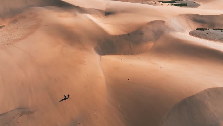 Empty Quarter Desert Dunes at Liwa, Abu Dhabi, United Arab Emirates Royalty-Free Stock Footage #1100015497